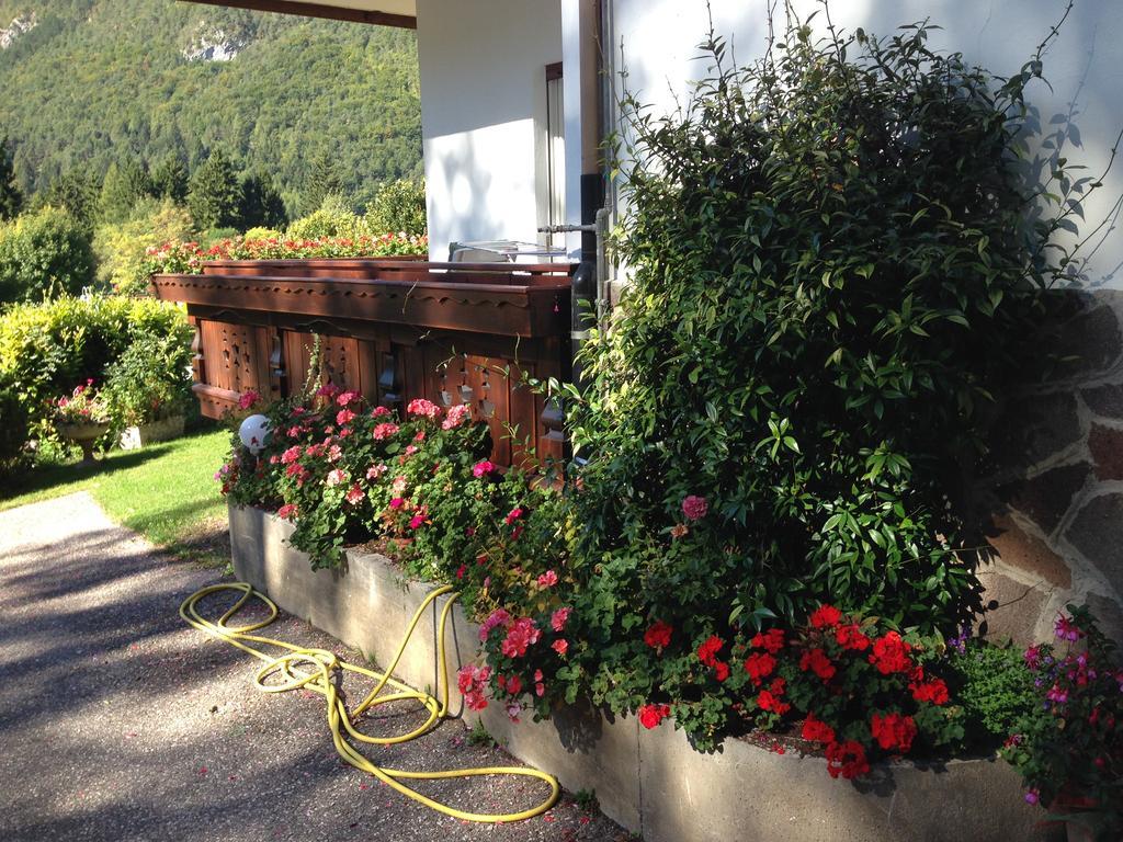 Villa Ginestra Molveno Room photo
